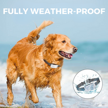 Lade das Bild in den Galerie-Viewer, 1x DoggoBark