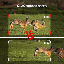Lade das Bild in den Galerie-Viewer, Osmo WildPro

