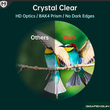 Lade das Bild in den Galerie-Viewer, OpticEdge
