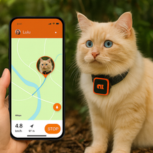 Lade das Bild in den Galerie-Viewer, KittyFind GPS
